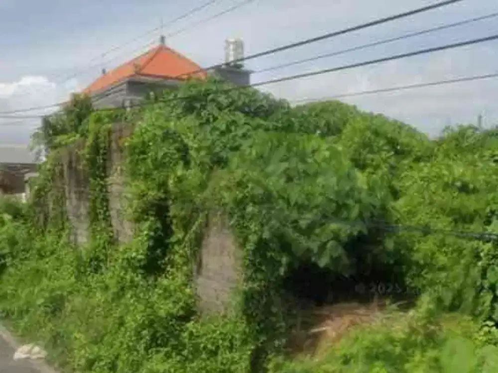 Dijual sebidang tanah
Lokasi Jln Sekar Tunjung XVI
Gatsu Timur