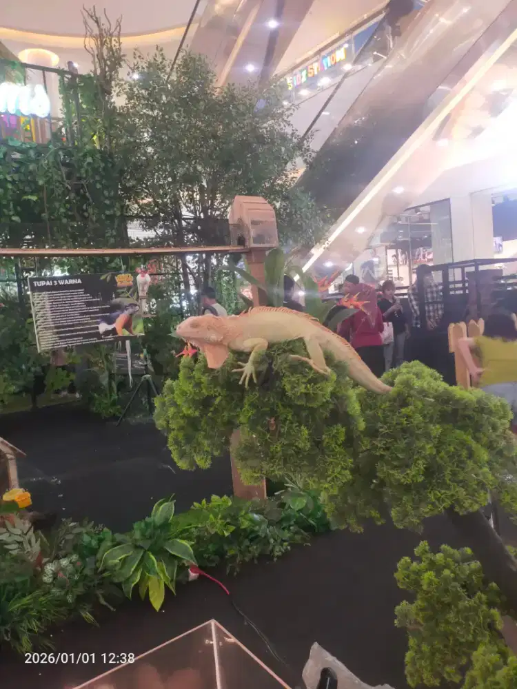 Info lowongan pekerjaan