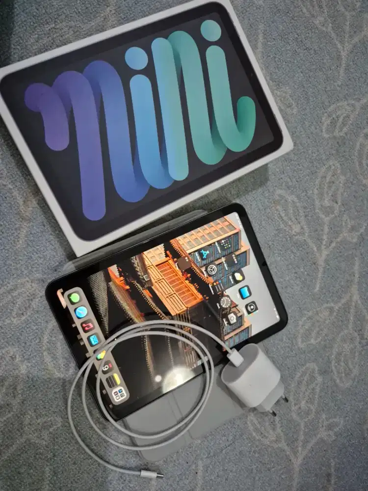Ipad Mini 6 (256gb)