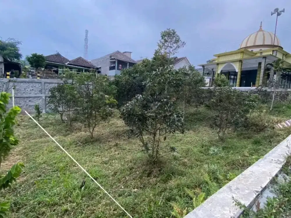 Turun Harga! Jual tanah di Oro Oro Ombo Batu Malang. Cocok buat Rumah tinggal Rumah Kost Villa Kantor