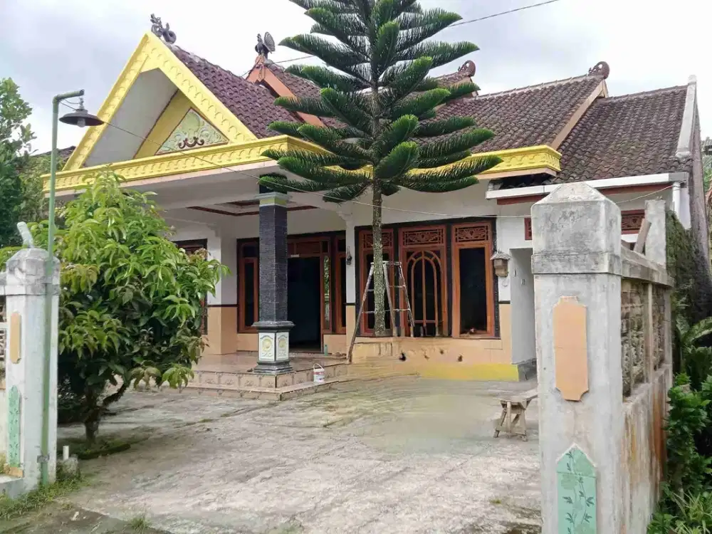 RUMAH TERMURAH SUPER LUAS DI BONDOWOSO MERTOYUDAN DEKAT KAFE LAYAR SENTUH