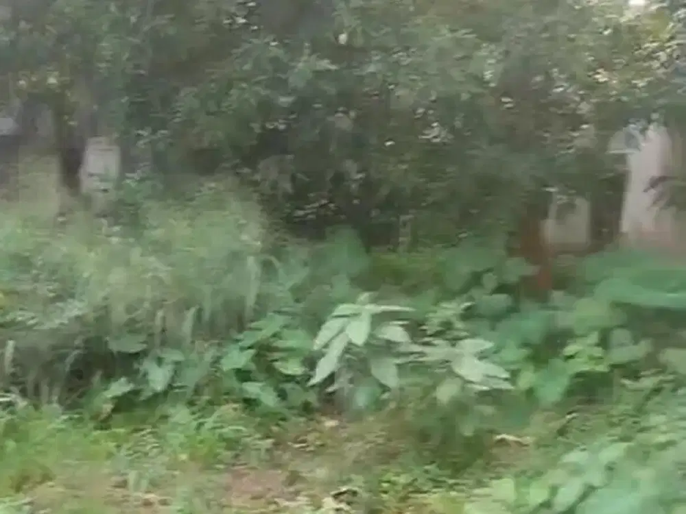 Di Jual Tanah Kavling Di Komplek Perumahan Di Jakarta Selatan