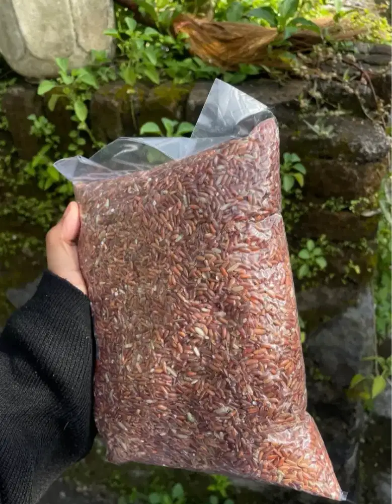Beras merah premium asli untuk diet