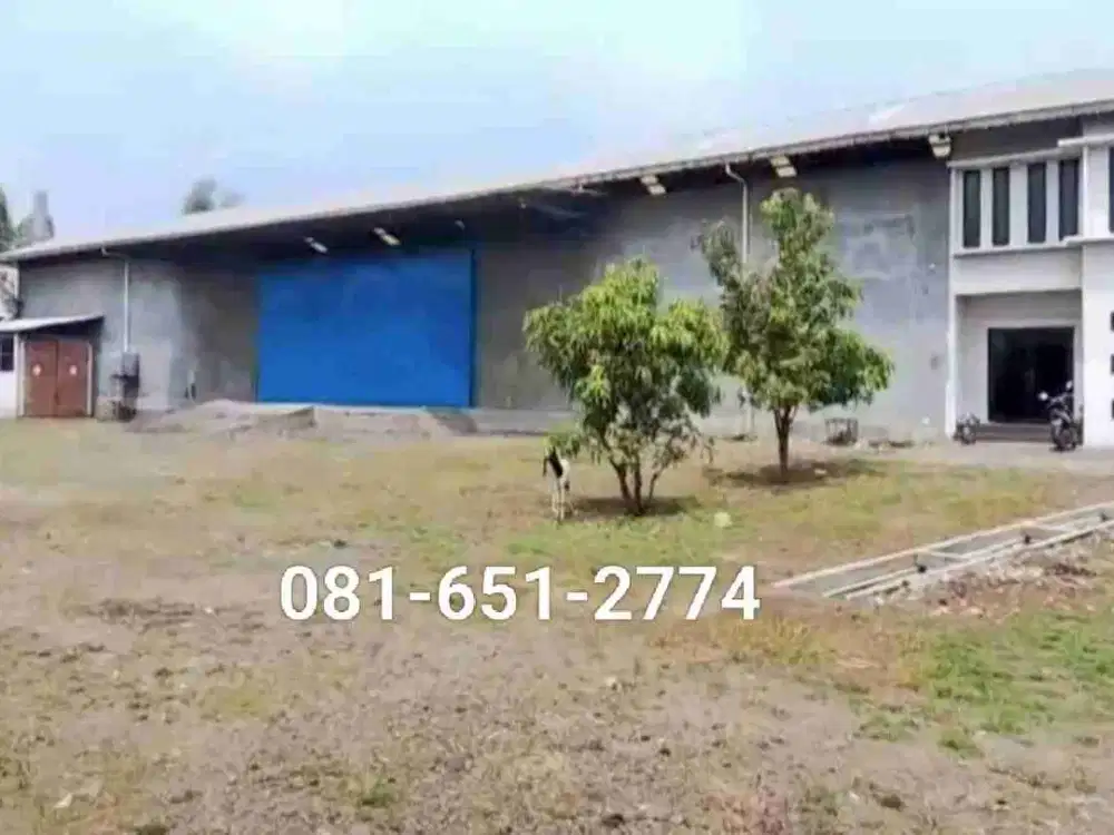 Gudang di Ngoro Mojokerto