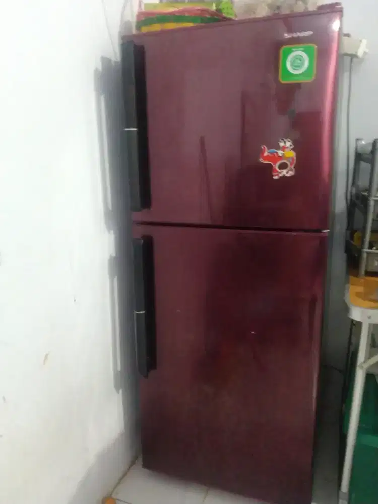 Kulkas 2 Pintu Sharp
