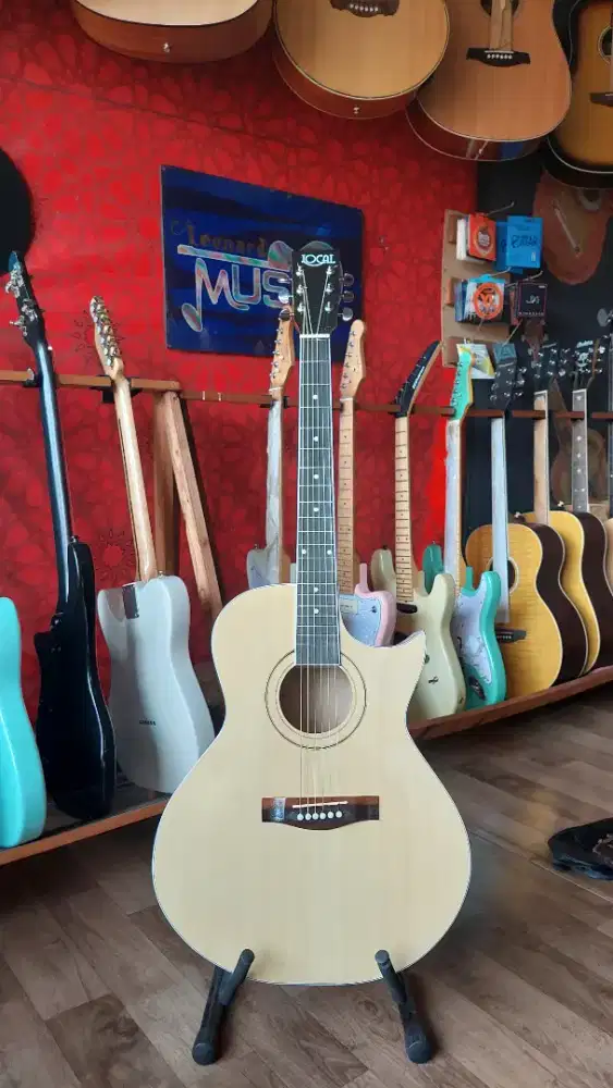 Gitar akustik pemula bekasi