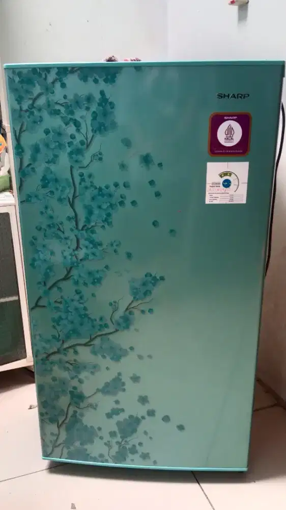 Kulkas Sharp 1 pintu
