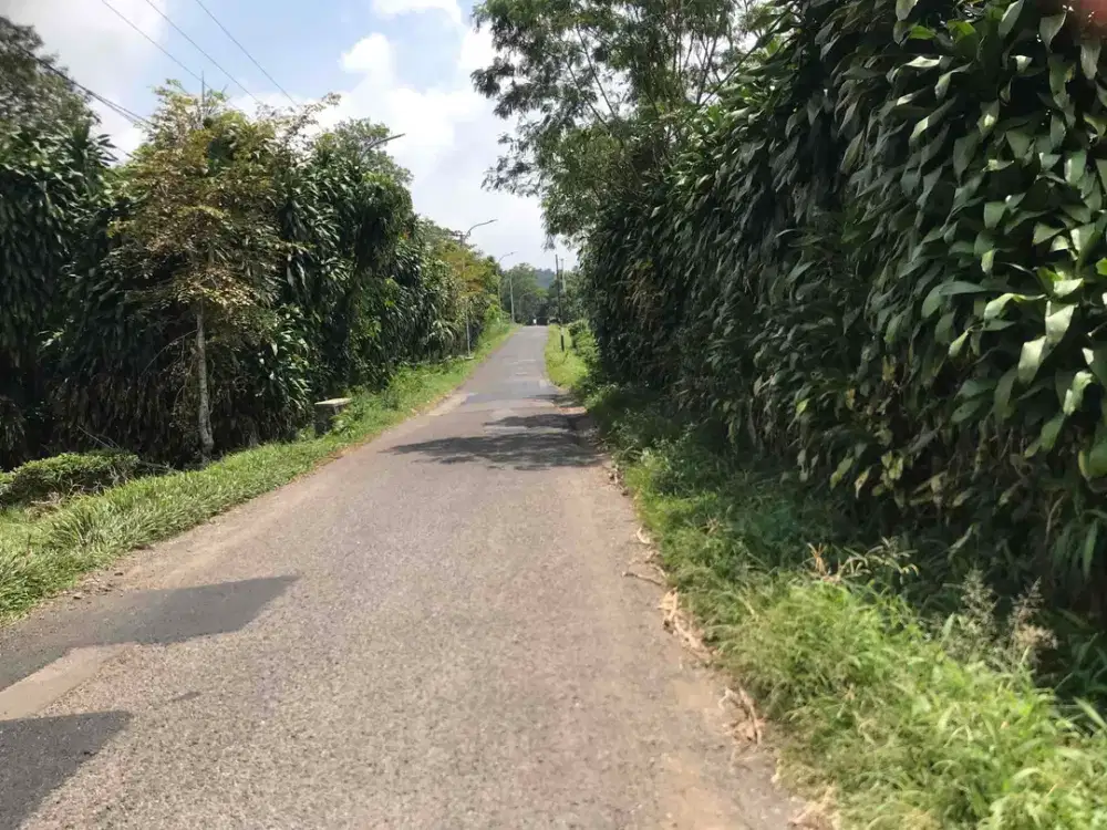 Tanah Murah Di Bawah NJOP,Pinggir Jln Utama