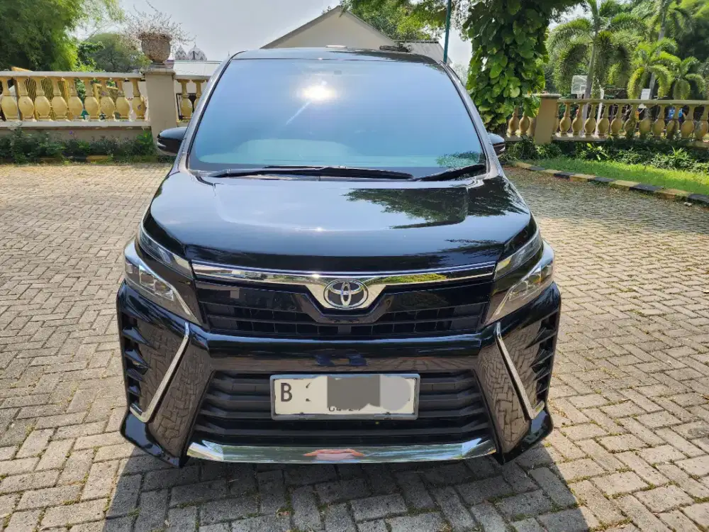 Toyota Hoxy at 2019