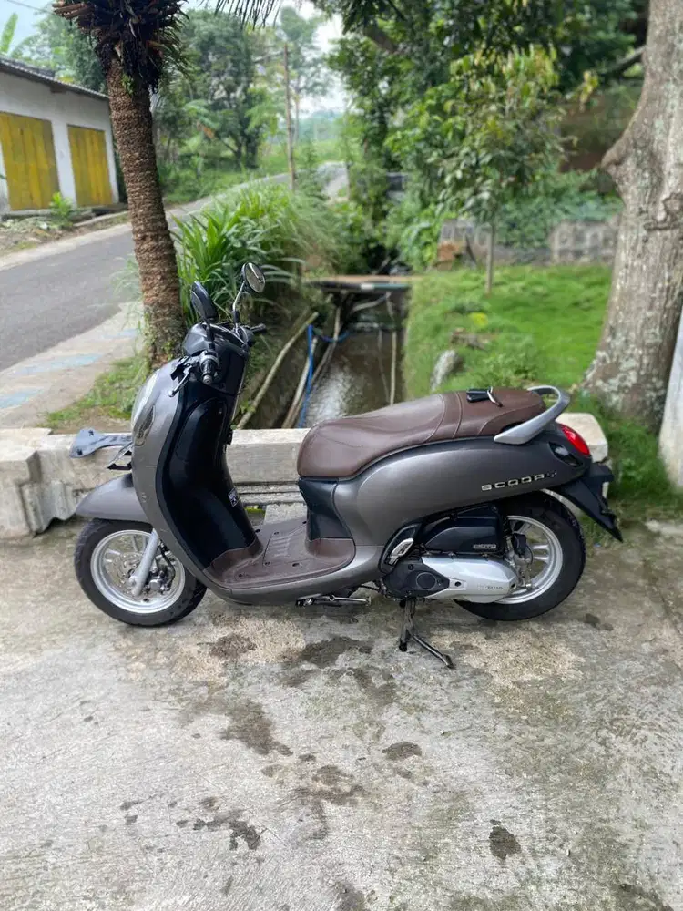 Honda Scoopy 2021 Lengkap Hidup