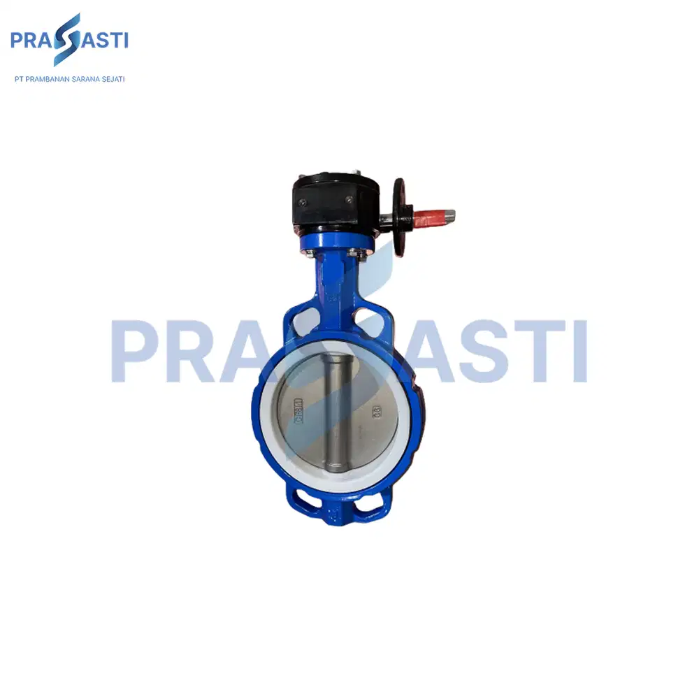 Butterfly Valve DN150 – 6 Inch (Worm Gear, ANSI Class 150)