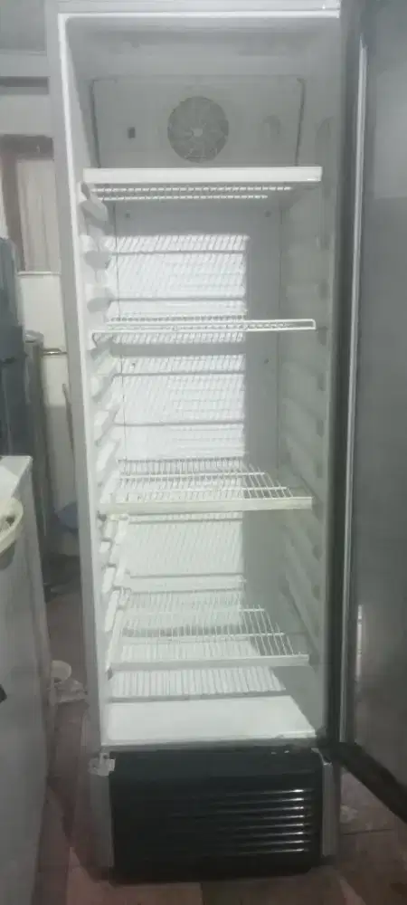 Sokes politron jumbo orian