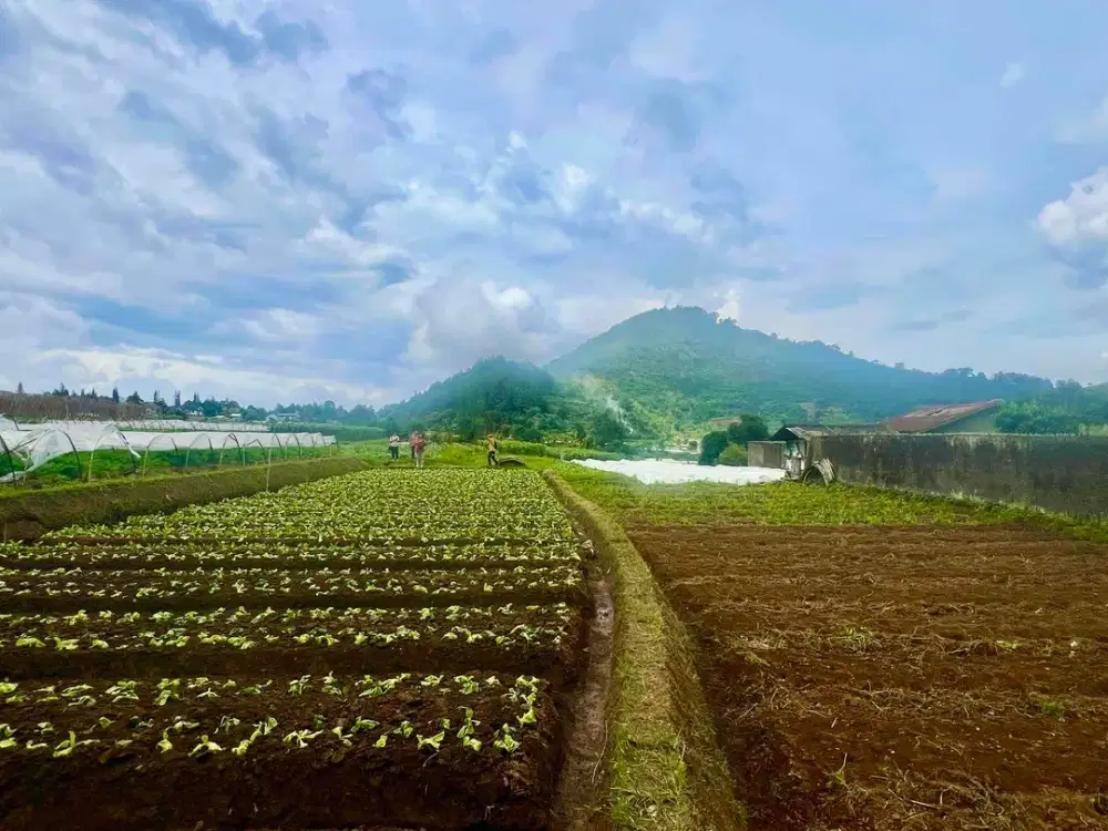 Tanah pinggir jalan utama di Cianjur