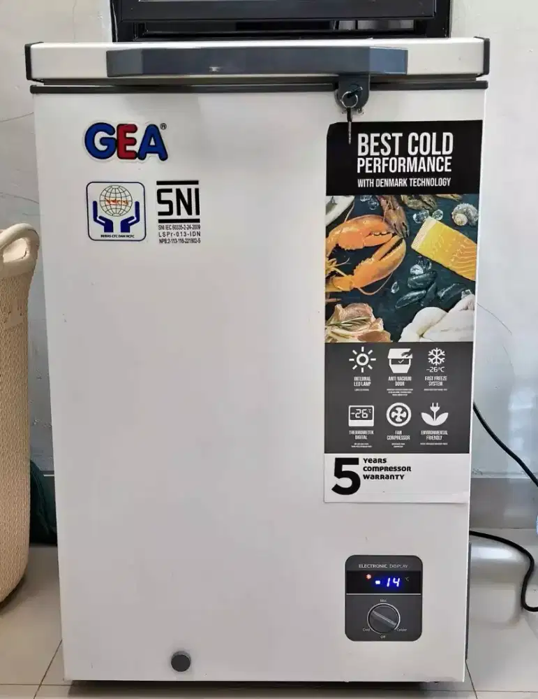 FREEZER BOX GEA 100 L