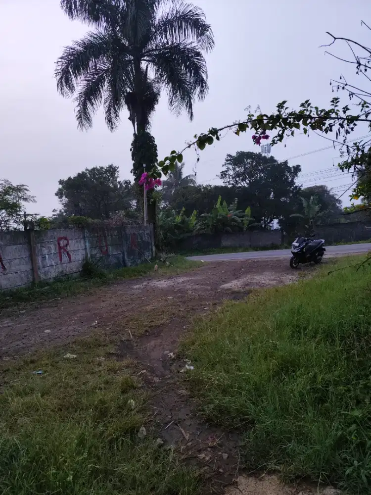 Di jual butuh tanah premium lokasi strategis dpn jalan raya surat SHM