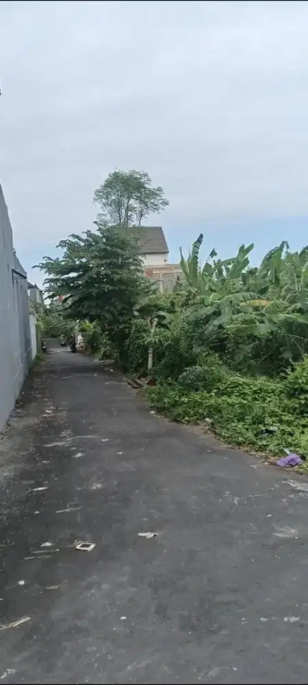 Di jual tanah jalan Sedap Malam, Denpasar, Bali