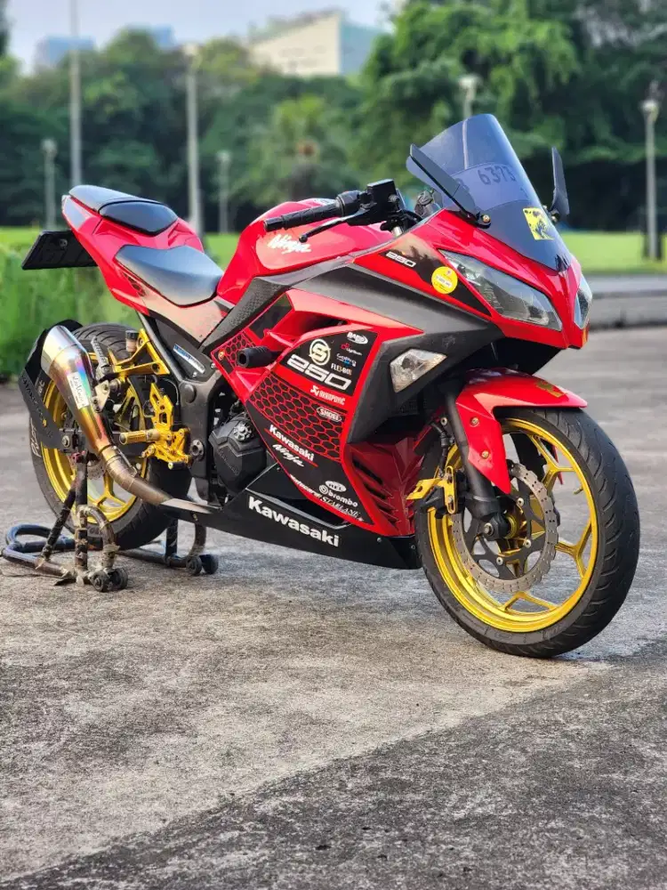 Kawasaki Ninja 250 FI With Leovince