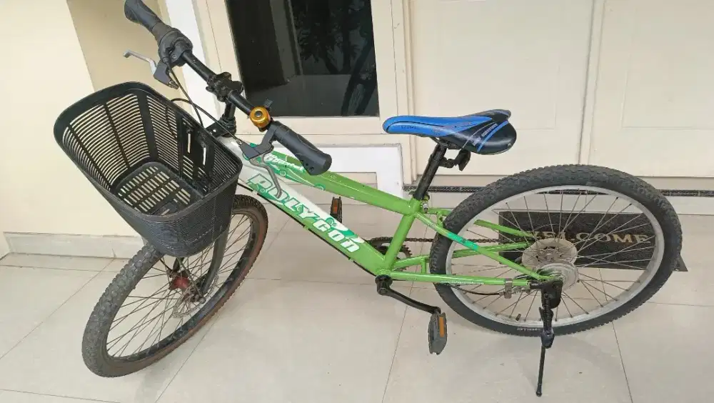 Sepeda Anak Keranjang Polygon uk 24