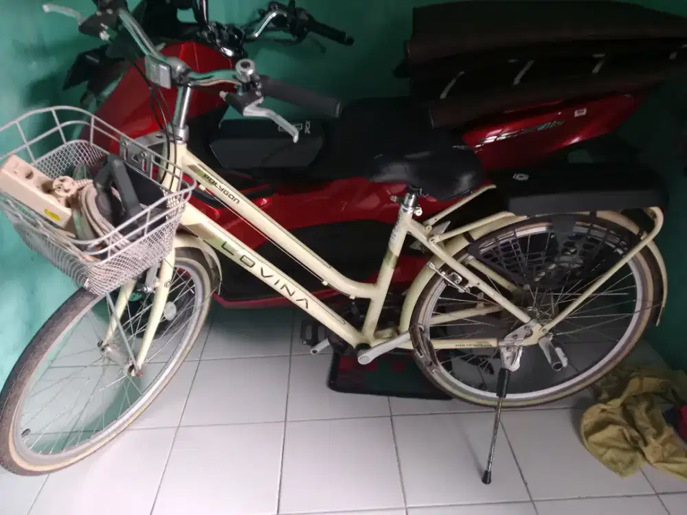 Sepeda polygon lovyna