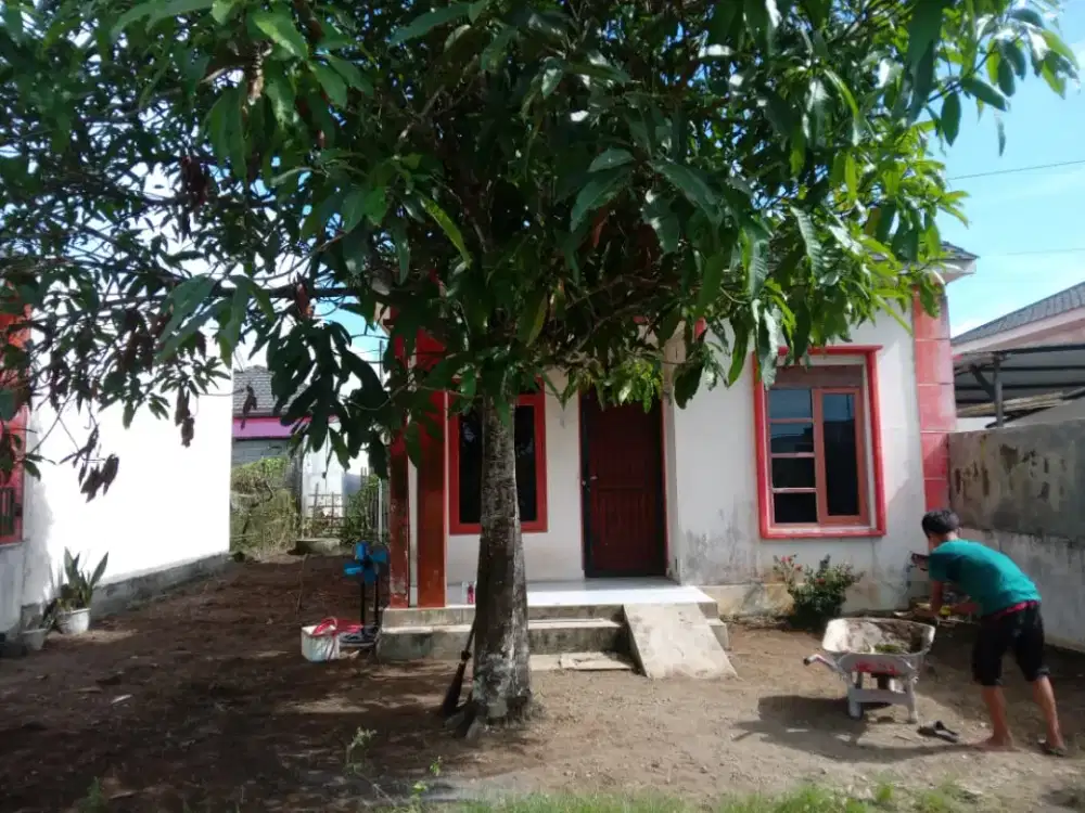 Sewa Rumah 2 Kamar Tidur 1 Kamar Mandi Area Meurebo