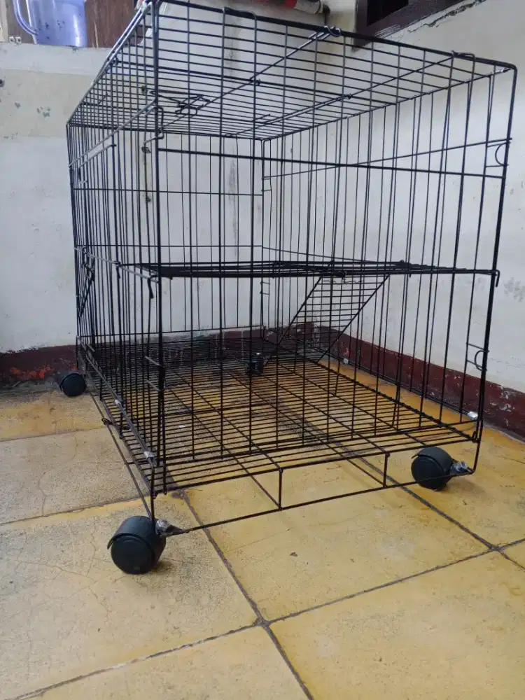 Kandang kucing ,dan lain lain