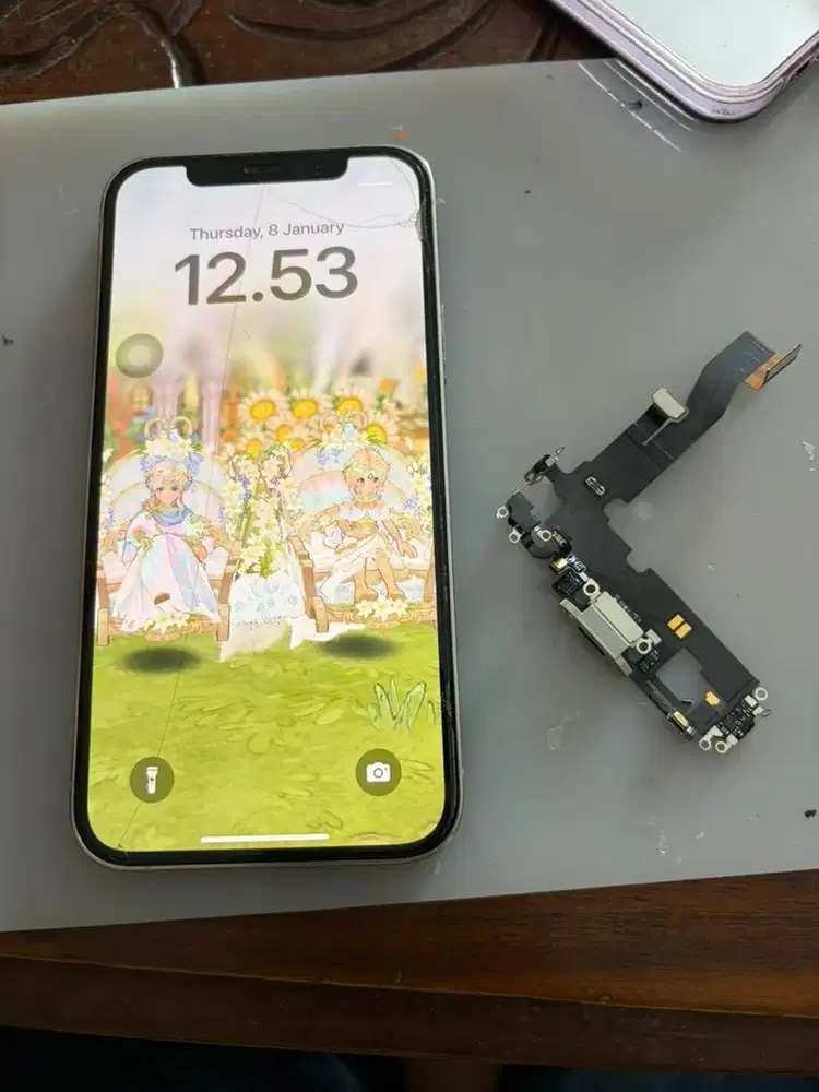 Ganti fleksibel cas iphone 12 / 12 pro bergaransi