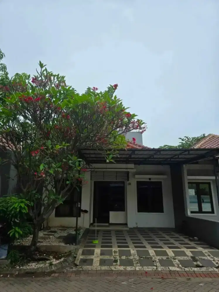 Rumah Murah Ketintang Surabaya