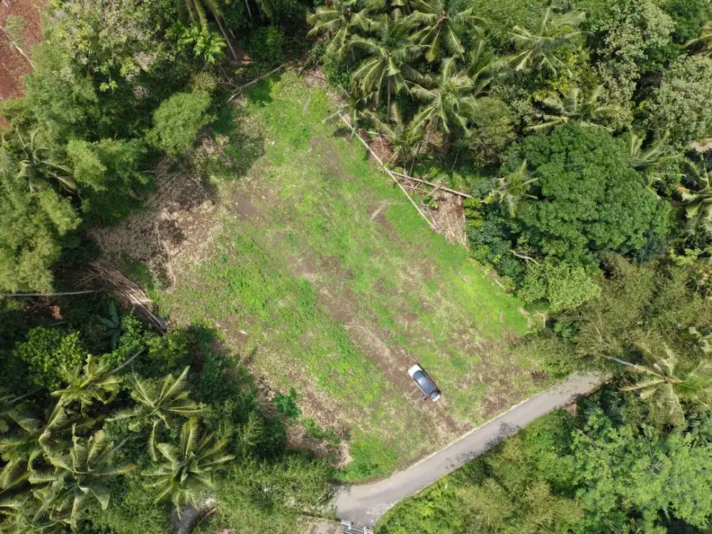 2 Tanah SHM di Kawasan Padat Penduduk dan Kampus terbaik Jogja