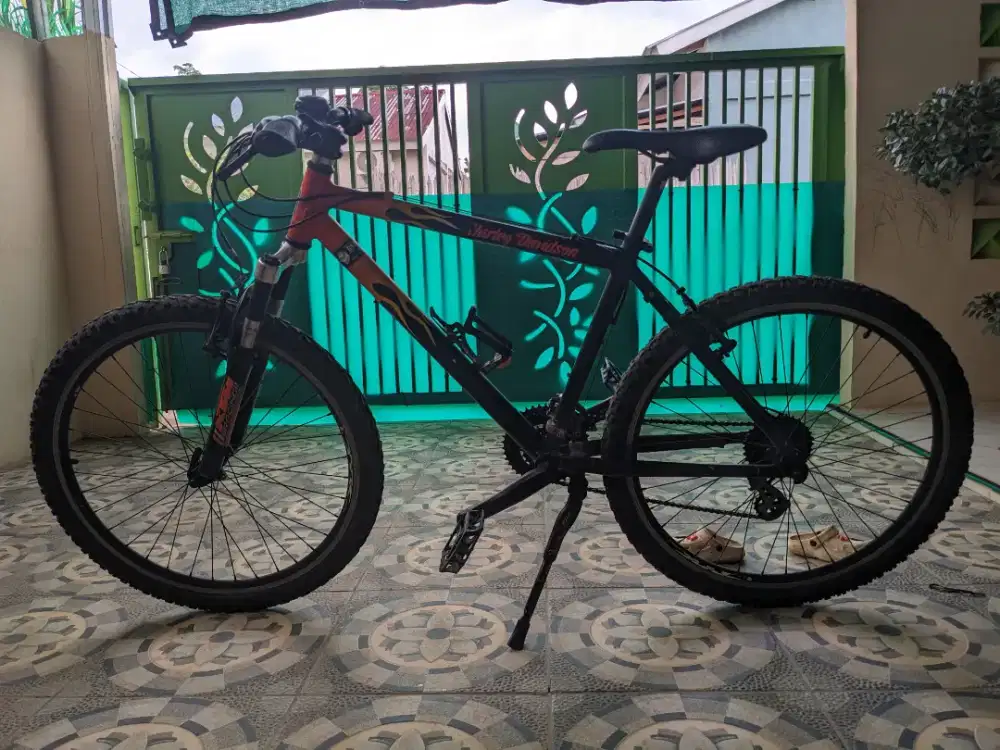 Sepeda MTB Custom