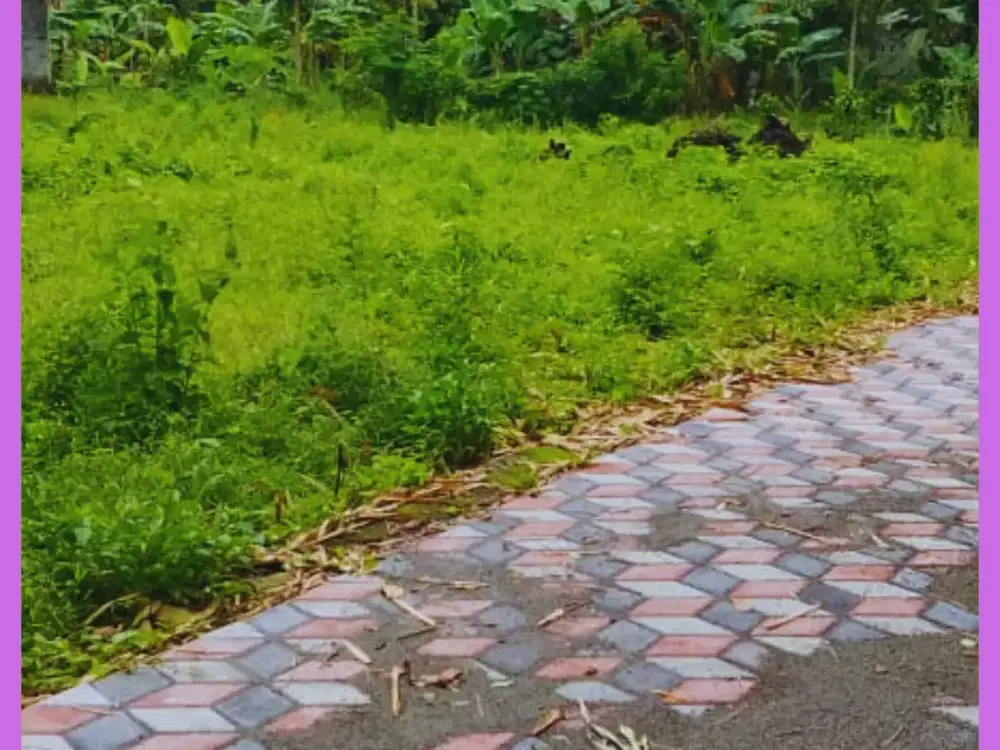 Tanah Jogja Kost Area Kampus UII Kaliurang SHM Pekarangan