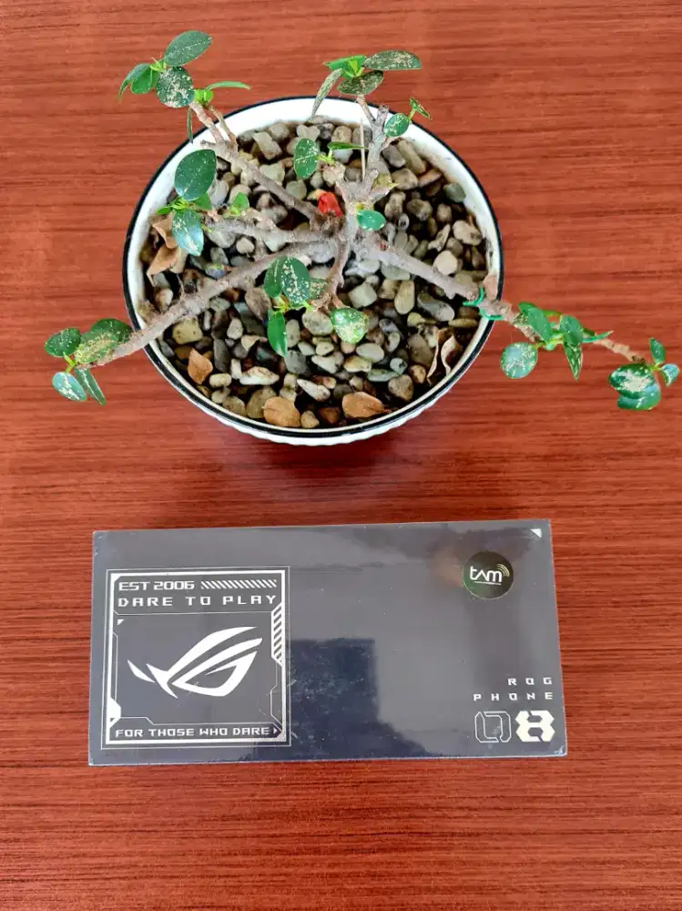 ROG PHONE 8 12/256 NEW SEGEL