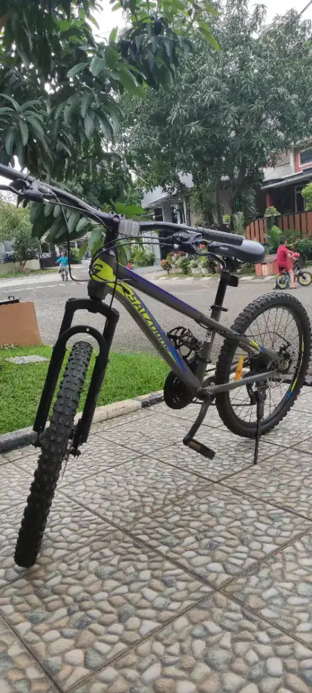 Sepeda MTB anak 24 inch