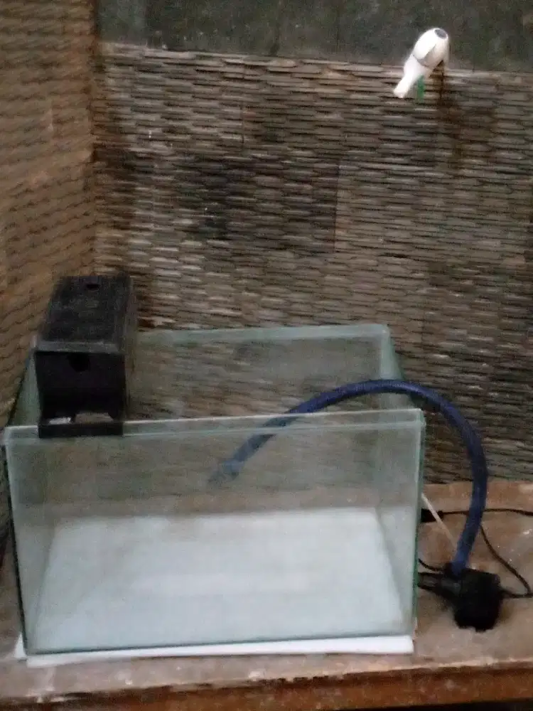 Aquarium 50x30x30 sama pompa
