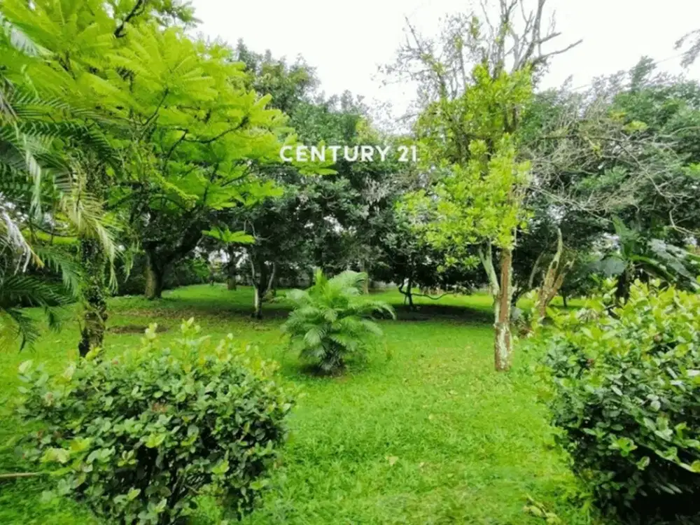 TANAH ASRI DI DAERAH SEMARANG ATAS BANYUMANIK