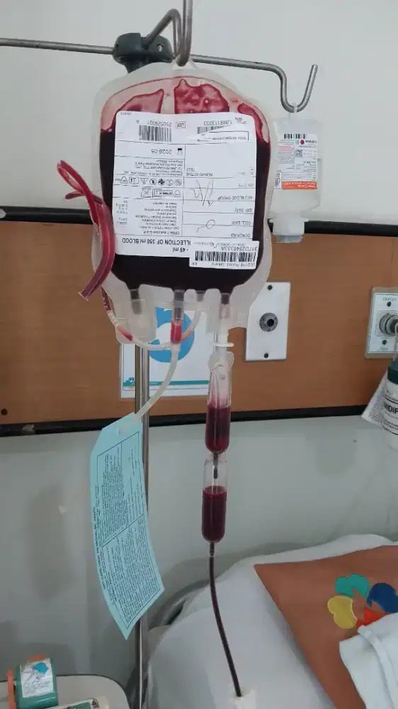 Jaga lansia/care giver