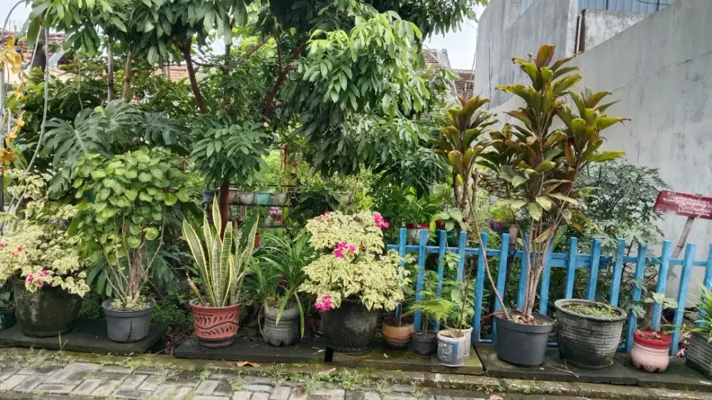 DIJUAL TANAH 6 X 16 M²