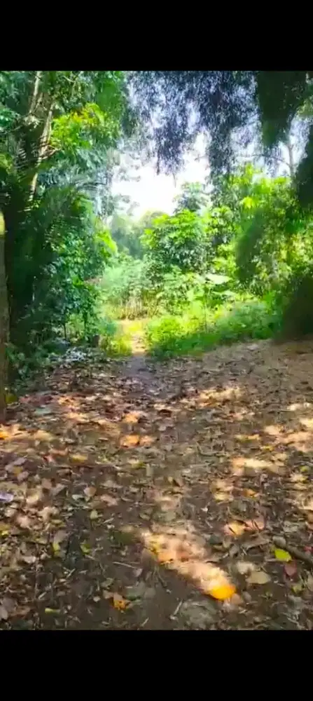 Di jual tanah di gunung sindur