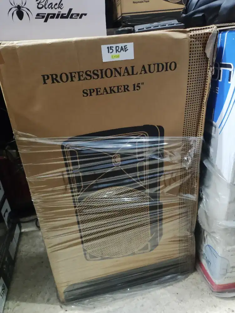 PROFESSIONAL SPEAKER BARETONE MAX15RAE