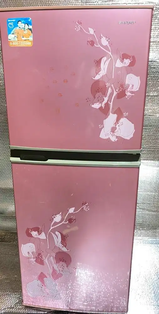 Kulkas sharp 2 pintu