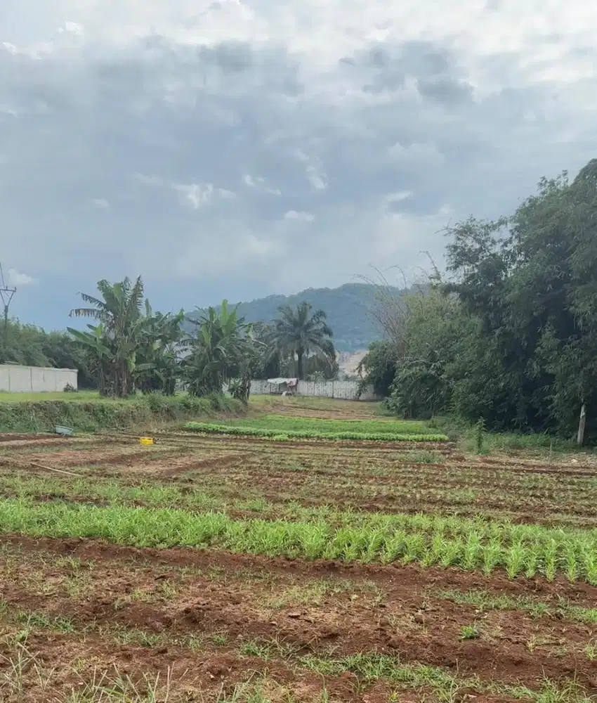 Dijual Tanah SHM dibawah NJOP posisi tanah diatas view bagus