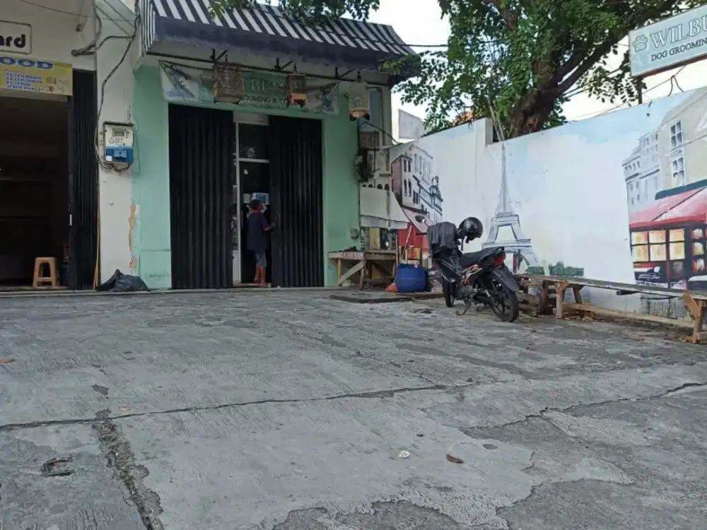 Rumah 1 Lantai Sunter