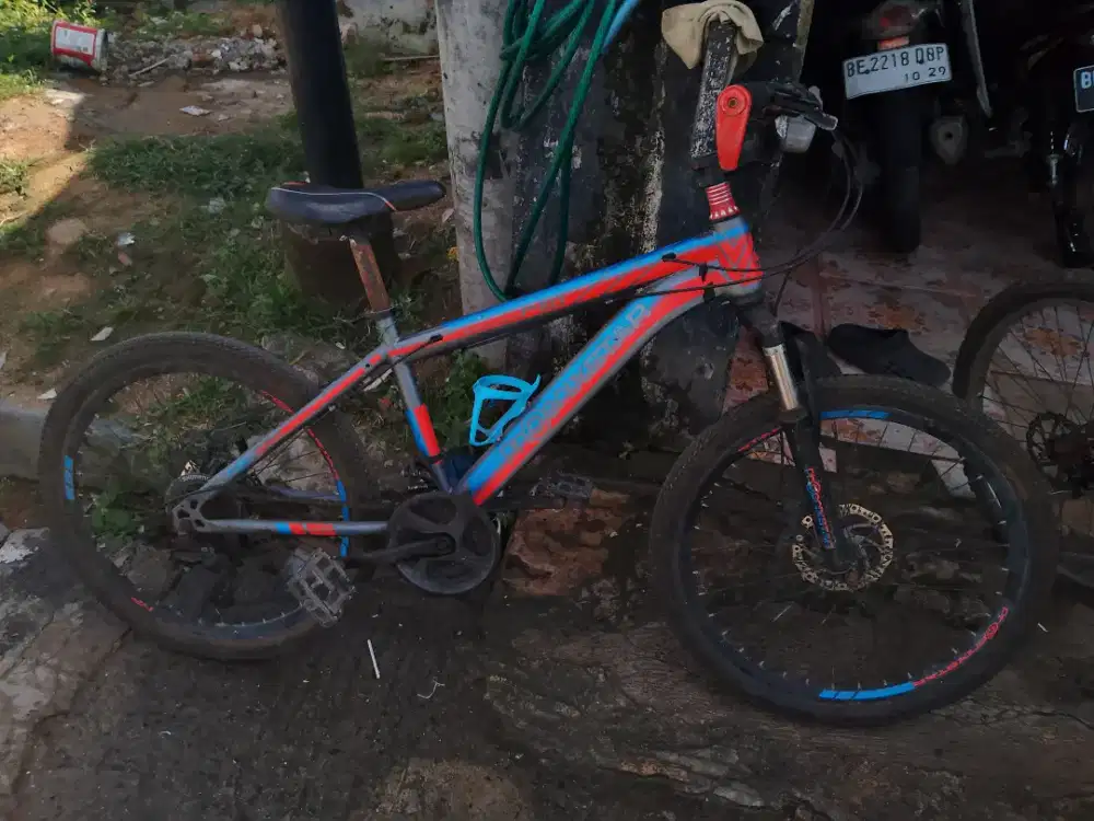 Sepeda borongan murah