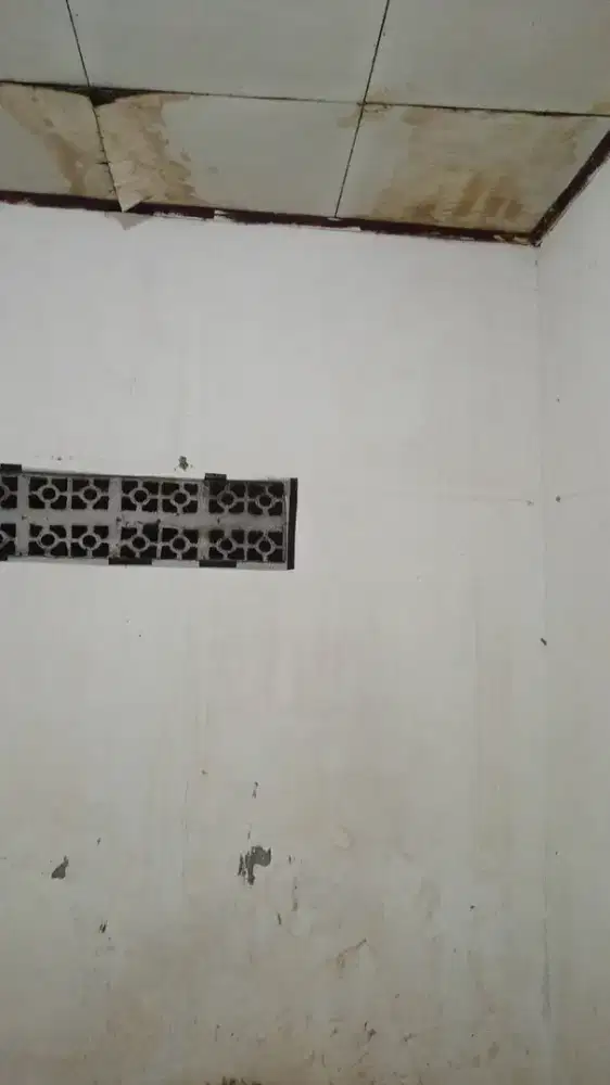 Tukang renovasi dan perbaikan atap bocor