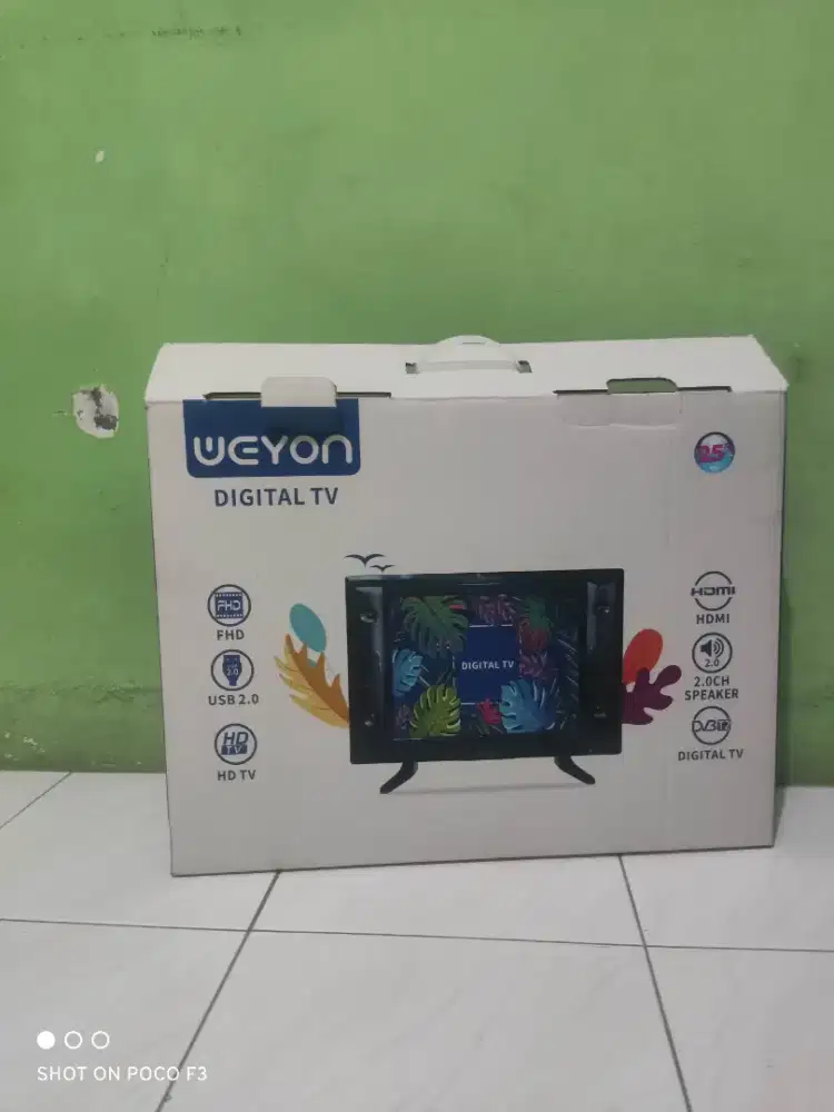 WEYON DIGITAL TV 25 INCH