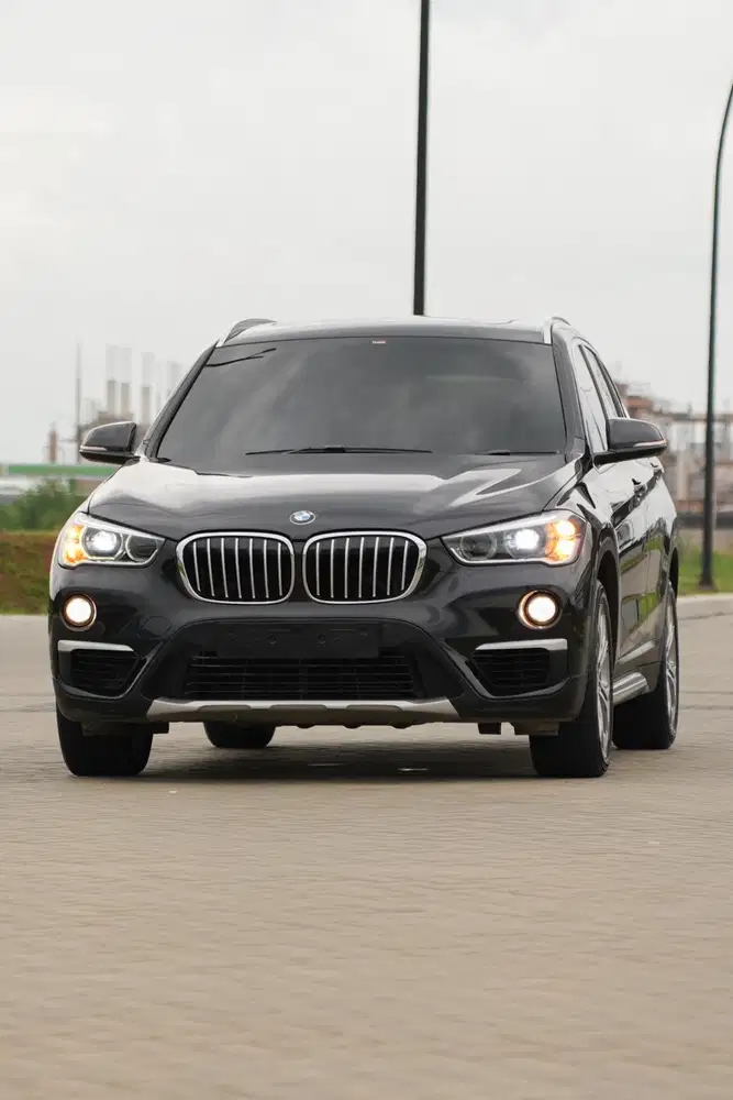 BMW X1 F48 XLine 2019 Panoramic