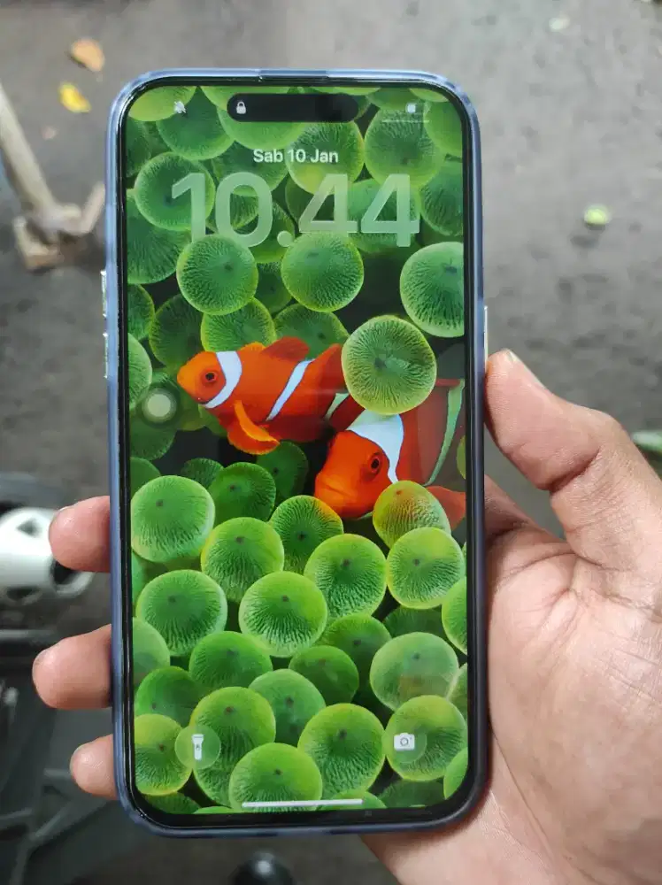 Iphone 15 pro max 256 ex blibli setara ibox