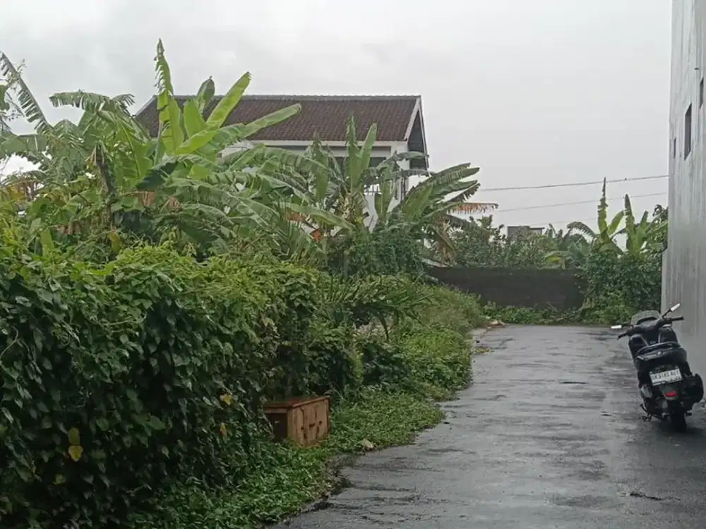 Jual Tanah Bagus Di Jalan Sedap Malam Denpasar Timur Bali. Dekat Ke Sanur Bali, Plaza Renon, Dll.