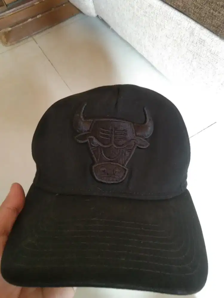 Topi Bulls new era