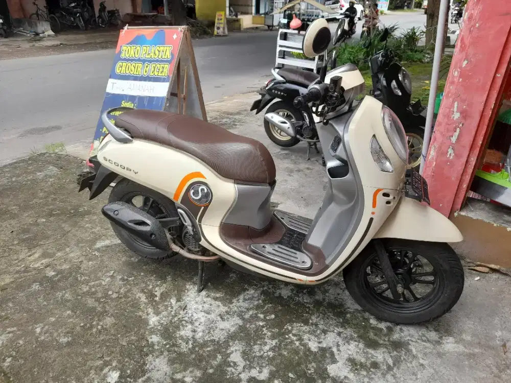 Scoopi 2021 mulus lus...