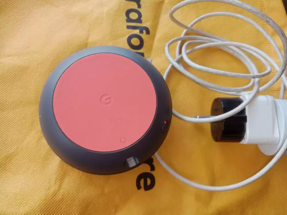 Google nest unit only